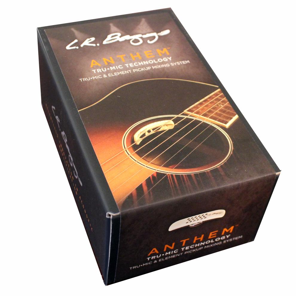 L.R. Baggs Anthem pickup system - Diamond Guitars