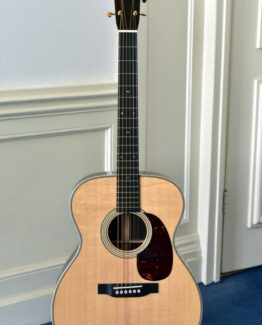 sunburst epiphone dot