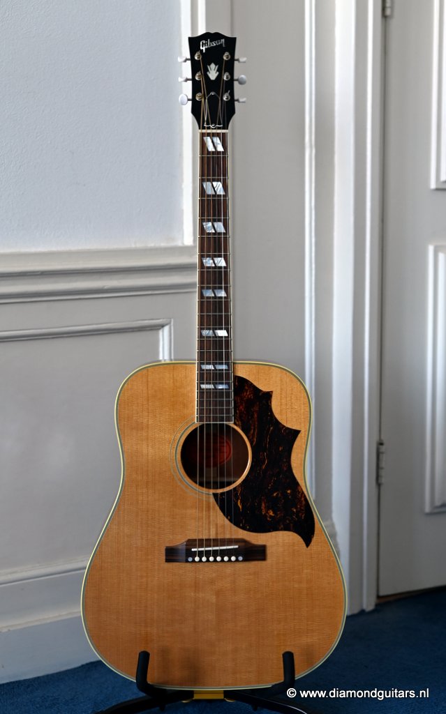 auditorium acoustic guitar