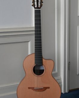image of Lowden S25 jazz