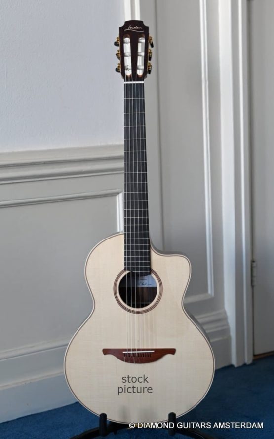 a guitar price