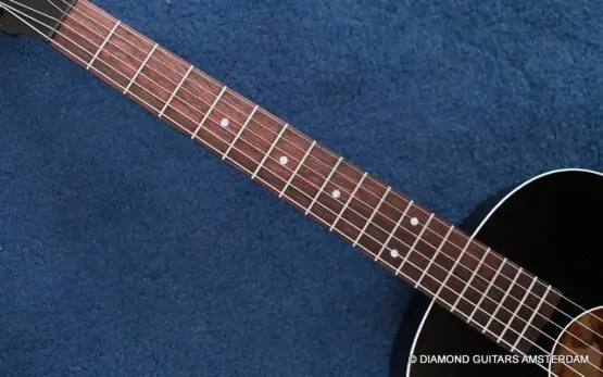 Waterloo WL-14L Jet Black - Diamond Guitars