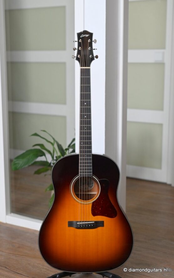 image of collings cj