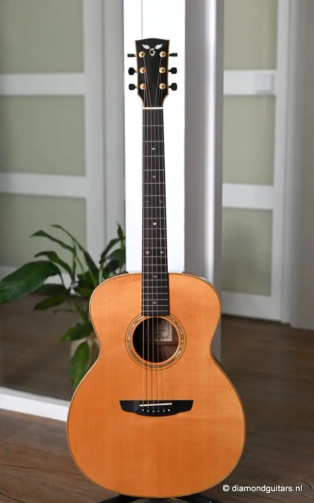 Goodall Concert Jumbo Walnut-Spruce - Diamond Guitars Goodall Concert Jumbo Walnut-Spruce - Diamond Guitars