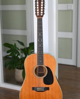 image of Martin D12-35